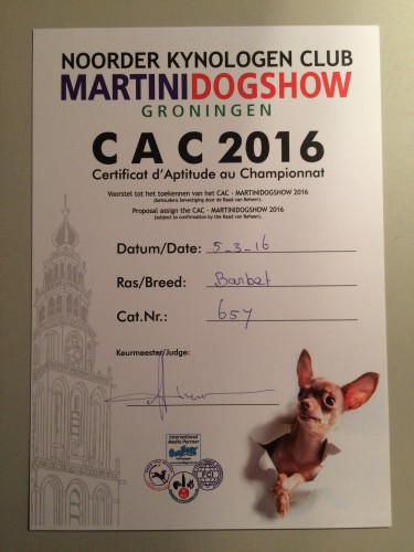MartiniDogShow 2016